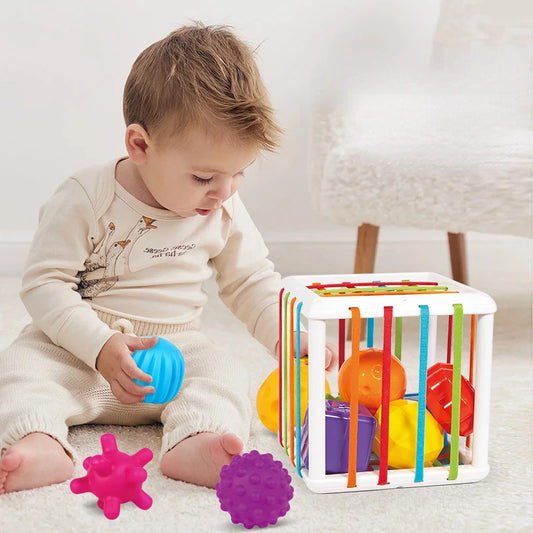 Rainbow Cesare Enlightening and Grasping Sensory Training Baby Toys